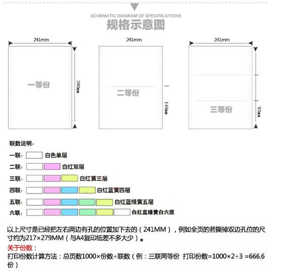 金鸟11.jpg